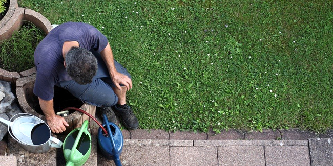 Assurance Multirisque Professionnelle pour jardinier paysagiste : devis et tarif 2025 !