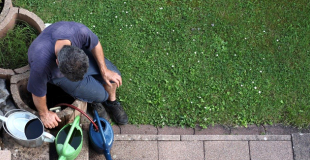 Assurance Multirisque Professionnelle pour jardinier paysagiste : devis et tarif 2025 !